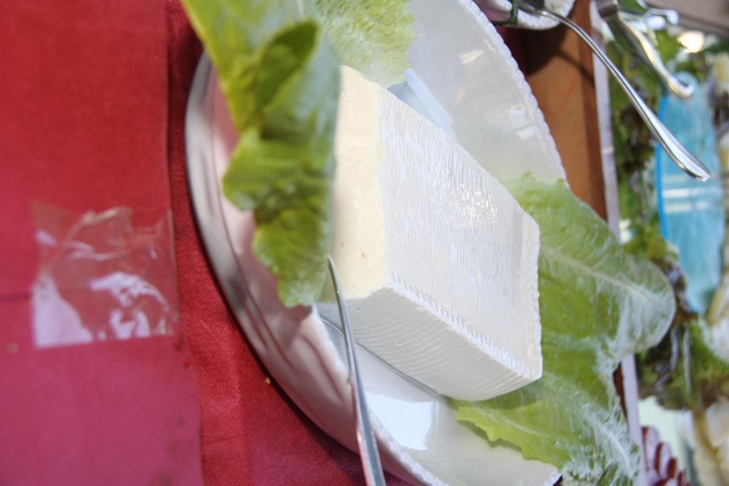 Hotel Garden Cattolica Dış mekan fotoğraf